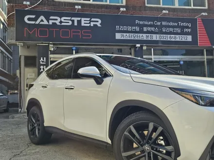 부천 PPF 렉서스 NX350h 생활 보호 필수야 / 경기 부천