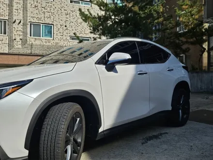부천 PPF 렉서스 NX350h 생활 보호 필수야 / 경기 부천