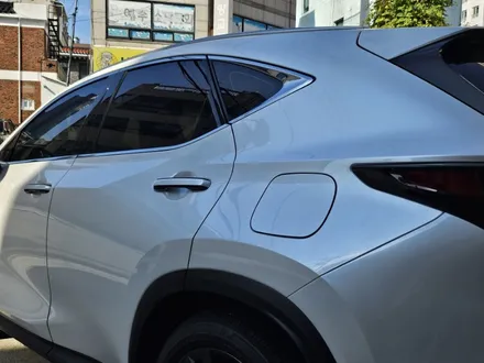 부천 PPF 렉서스 NX350h 생활 보호 필수야 / 경기 부천