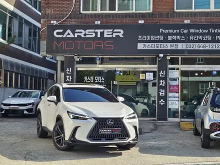 부천 PPF 렉서스 NX350h 생활 보호 필수야 / 경기 부천