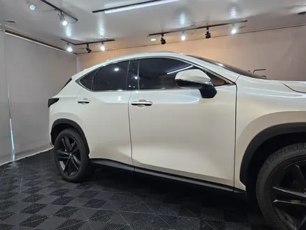 부천 PPF 렉서스 NX350h 생활 보호 필수야 / 경기 부천