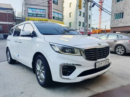 [부천 솔라가드] 올뉴카니발 HP차콜 작업기 * 부천 카스터모터스 / 경기 부천