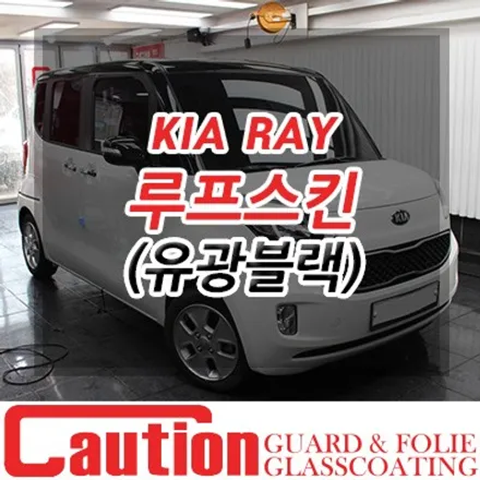 레이 루프스킨 사이드미러 랩핑으로 나만의 차로 커스터마이징 / 동대문,광진구,중랑구