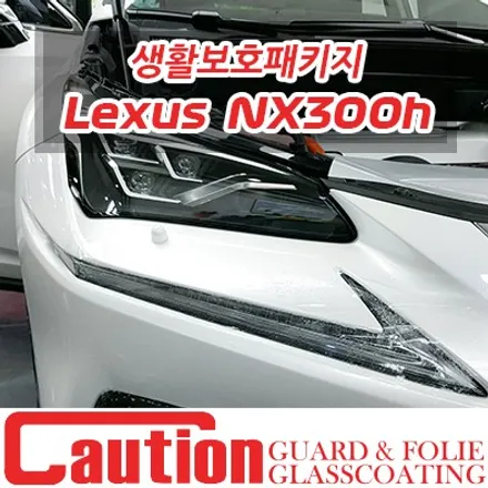 연비 효율좋은 NX300h 그리고 가성비 효율좋은 생활보호패키지 / 동대문,광진구,중랑구