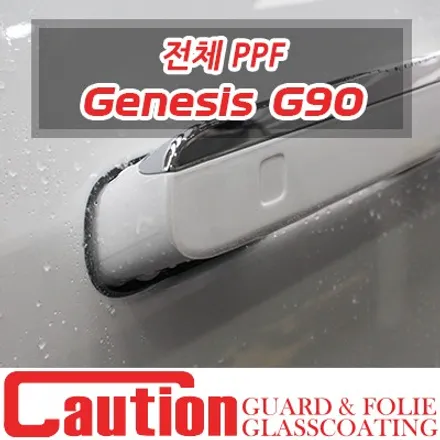 동대문 PPF의 원조 맛집에서 시공하는 G90 프리미엄쉴드 / 동대문,광진구,중랑구