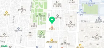하이퀄리티 탑폴리에 루프스킨, BMW 3GT 루프스킨 / 동대문,광진구,중랑구