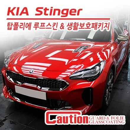 기아 스팅어 탑폴리에 루프스킨 / 생활보호패키지 / 동대문,광진구,중랑구