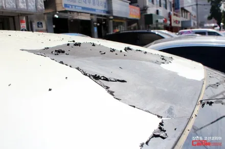 저가 필름으로 루프스킨을 하면 이렇게 됩니다!! 르노삼성 SM5 루프스킨 제거 후 재시공 스토리 - 장안동 코션 / 동대문,광진구,중랑구