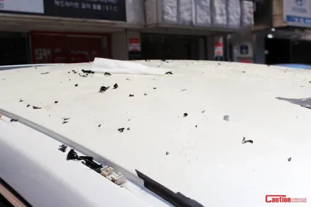 저가 필름으로 루프스킨을 하면 이렇게 됩니다!! 르노삼성 SM5 루프스킨 제거 후 재시공 스토리 - 장안동 코션 / 동대문,광진구,중랑구