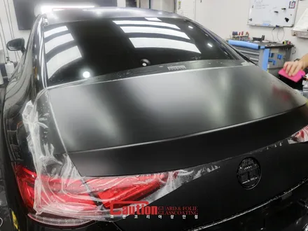 랩핑과 PPF 두마리 토끼를 모두 잡은 CLS53 AMG / 동대문,광진구,중랑구