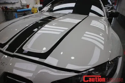 BMW M4 전체 PPF 시공으로 달릴 준비완료 / 동대문,광진구,중랑구