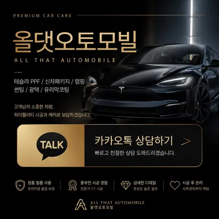 테슬라 신차출 후 돌빵 걱정? 원주 PPF 풀시공으로 해결했습니다. / 원주 호저면