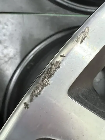 대구 휠복원 대구 휠도색 대구 자동차 휠수리 잘하는 곳 휠플레이 타이어 전문[BMW 5시리즈 순정 19인치 블랙펄유광 휠도색 작업입니다.] / 대구 서구 평리동