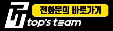 더뉴 팰리세이드 블랙 패키지 도색 시공 / 양주시 회정동
