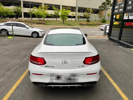 벤츠 C43 AMG 블랙PPF 루프스킨 시공 / 양주시 회정동
