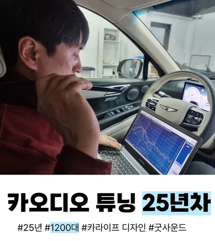 bmw 520i 5시리즈 G60 회오리 커버 스피커 엠비언트 바워스앤윌킨스 스타일 아름다운 야간 감성 튜닝 / 부산 연제구