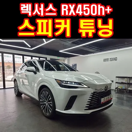 부산 카오디오 스피커 장착 렉서스 RX450h 마크레빈슨 사운드 다인오디오 에소텍 242 환상적드라이브 즐겁게~♬ / 부산 연제구