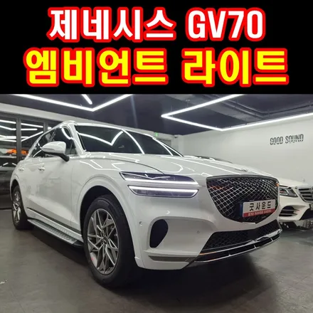 부산 엠비언트 제네시스 GV70 자동차 무드등 유치원생 딸아이가 차 타는걸 너무 좋아해요 / 부산 연제구