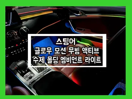 스팅어 실내 튜닝에 완벽한 퍼포먼스를 자랑하다 글로우 모션 무빙 액티브 엠비언트 라이트 / 용인 처인구, 모현, 곤지암, 포곡, 양지