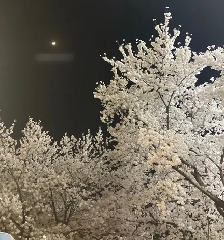 [평동휠복원] 수원휠복원 잘하는곳 제네시스G80 휠복원 컷팅 작업후기 / 성남시 시흥동