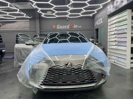 렉서스 RX450h+ 브이쿨 VK, Xev 시공 / 과천시 과천동
