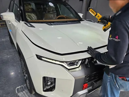 카스페이스 과천 신차검수, 토레스는 우리가 접수한다! / 과천시 과천동