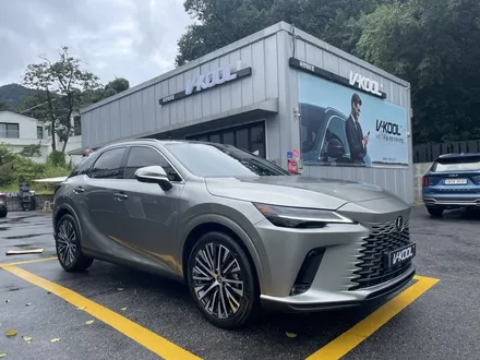 렉서스 RX450h+ 브이쿨 VK, Xev 시공 / 과천시 과천동