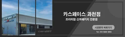 레이 스모크블루, 가볍지만 스페셜한 신차꾸미기 / 과천시 과천동