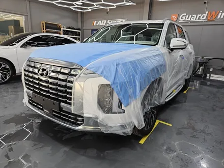 과천 신차패키지에서 버텍스 필름의 인기 비결, 팰리세이드로 확인! / 과천시 과천동