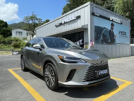 렉서스 RX450h+ 브이쿨 VK, Xev 시공 / 과천시 과천동