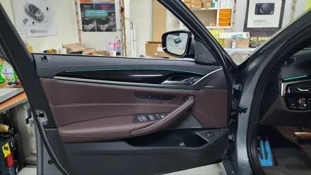 BMW G30 5시리즈 530i 순정 서라운드뷰 카오디오 첼로마에스트로 스피커