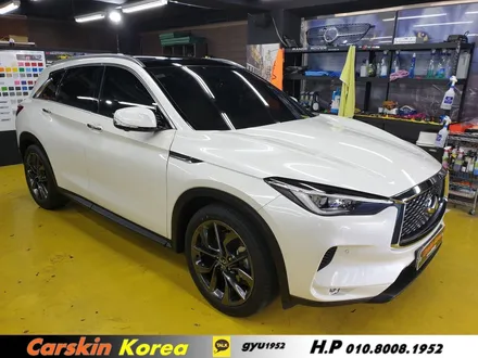 인피니티 QX50  의왕 생활보호 PPF / 군포 부곡동