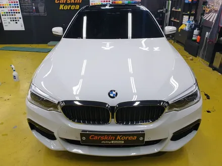 520d 돌빵에 대한 대처! PPF 많이 정답이다 / 군포 부곡동