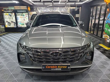 자동차 페인트 보호필름 \