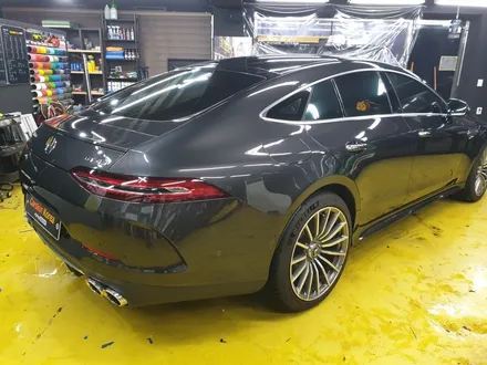 내차 벌레 자국! 해결 방법 없나? 벤츠 AMG gt43 (광택, PPF) / 군포 부곡동
