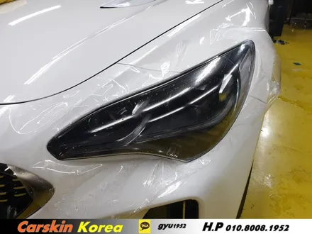 의왕 PPF 하는 곳!카스킨 코리아 스팅어 생활보호 PPF / 경기 군포