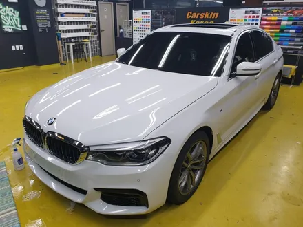 520d 돌빵에 대한 대처! PPF 많이 정답이다 / 군포 부곡동