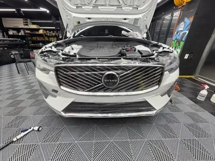 볼보 XC60 전체 PPF 가격, 효과, 시공 포인트 총정리! / 경기 군포
