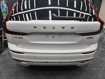 볼보 XC60 전체 PPF 가격, 효과, 시공 포인트 총정리! / 경기 군포