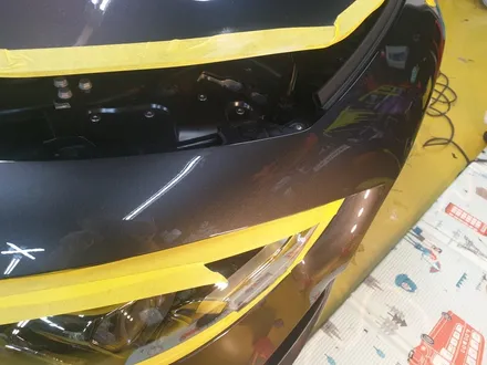 내차 벌레 자국! 해결 방법 없나? 벤츠 AMG gt43 (광택, PPF) / 군포 부곡동