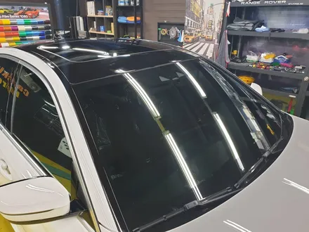 520d 돌빵에 대한 대처! PPF 많이 정답이다 / 군포 부곡동
