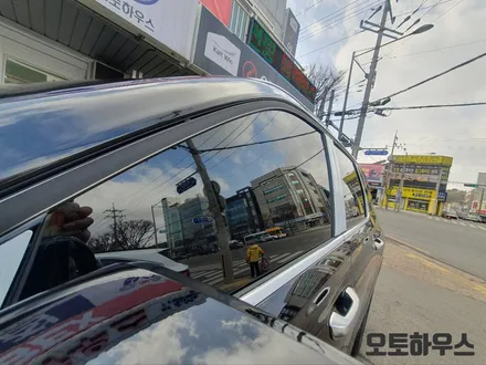 팰리세이드 열차단썬팅/사이드스텝/PPF 신차패키지