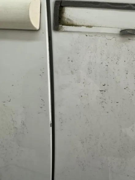 🚗 성남 판금도색｜펠리세이드 앞범퍼 교환 + 뒷문 판금도색 재수리로 비용까지 아낀 후기 / 성남 중원