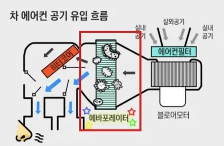 강동 하남미사 [에바크리닝-벤츠 CLS] 자동차 냄새 제거 끝판왕! 전후 비교 및 비용 / 경기 하남