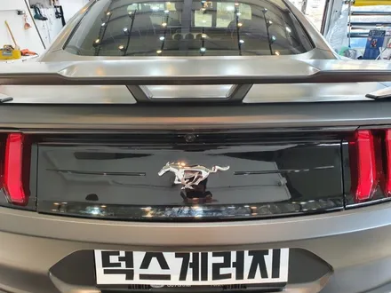 원주랩핑 덕스게러지 머스탱신차 랩핑 / 원주 행구로