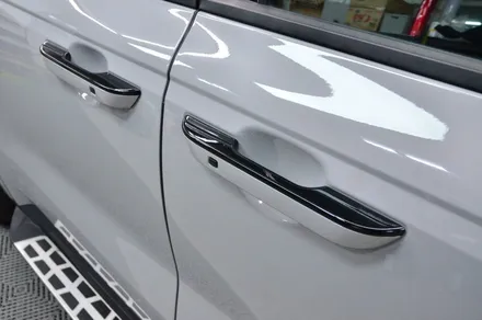 대전 카스킨 + 오렌지카스킨 + 기아 + 카니발 하이리무진 + 전체 랩핑, 전체 크롬 죽이기 + 리보 Porsche Grey PPF,블랙PPF / 대전 유성구 원신흥동