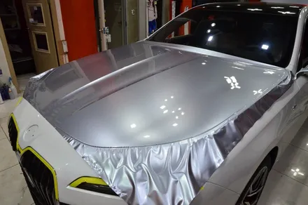 대전카스킨 + 오렌지카스킨 + 대전랩핑 + 세종랩핑 + 전체랩핑 + BMW + BMW 740i + 듀오톤 + AX Film + 플로렛실버(FLORETT SILVER) / 대전 유성구 원신흥동