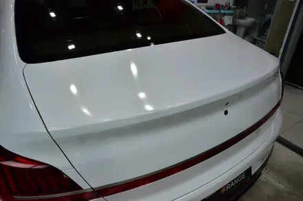 대전 카스킨+오렌지 카스킨+ 대전랩핑 +전체랩핑+ 기아 K9 +3M 2080 3M GP240-White Gold Sparkle+화이트 골드 스파클 / 대전 유성구 원신흥동
