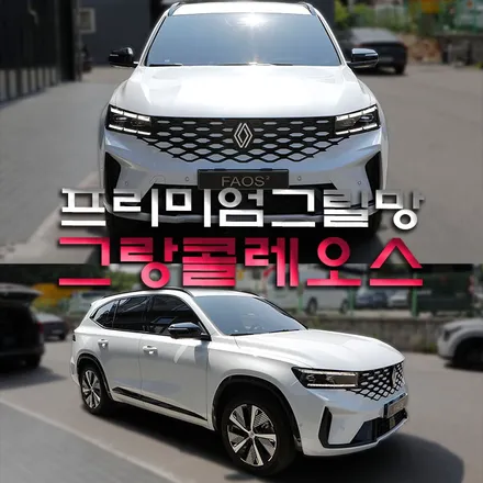 그랑 콜레오스 그릴망 작업 전문점에서 차량 보호(프리미엄 그릴망)