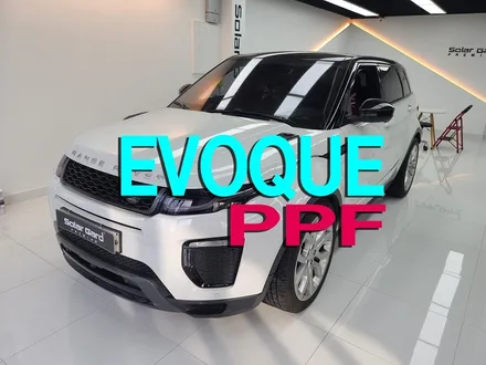 랜드로버 이보크 PPF 제거 작업 부평썬팅추천 솔라가드 프리미엄 THE LX 부평